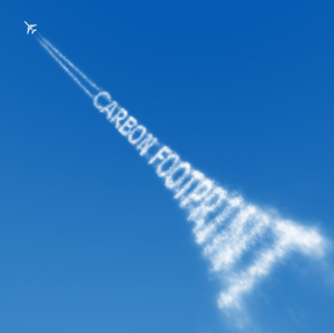 1253044636829201.jpg