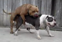 1253129670972450.gif