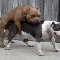 1253129670972450.gif