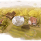 1253491591305992.gif