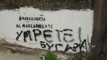 1255332499841305.jpg