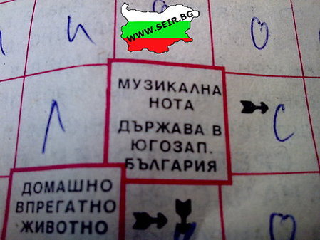 1255438722114615.jpg