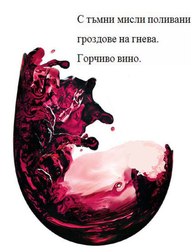 1256047887305684.jpg