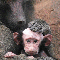 1256747175193387.gif
