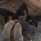 1256857420387364.gif