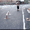 1257276572987188.gif