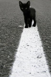 1258145714947820.jpg