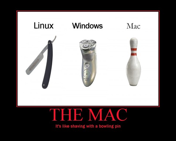 1259362536966264.jpg