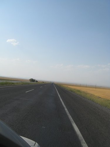 1259949373704743.jpg