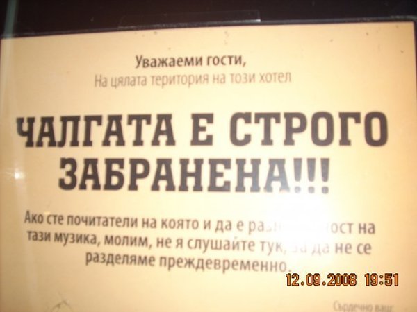 1260188271977119.jpg