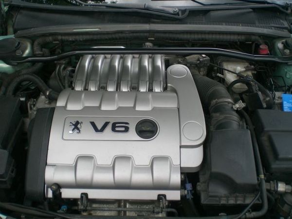1260203984751000.jpg