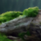 1260638336148913.png