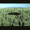 1262464724238049.gif