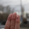 1263061032974807.jpg