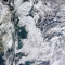 1263165744281297.jpg