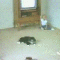 1263336269532440.gif