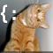 1263740486449155.jpg