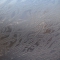 1264449863330145.jpg