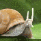 1264776636558250.gif
