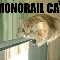 1264838010426533.gif