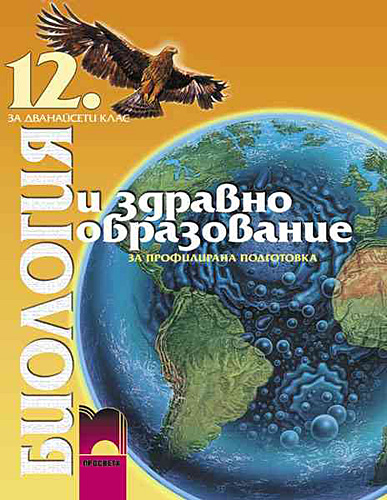 1265655781116240.jpg