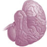 1267972807999541.png