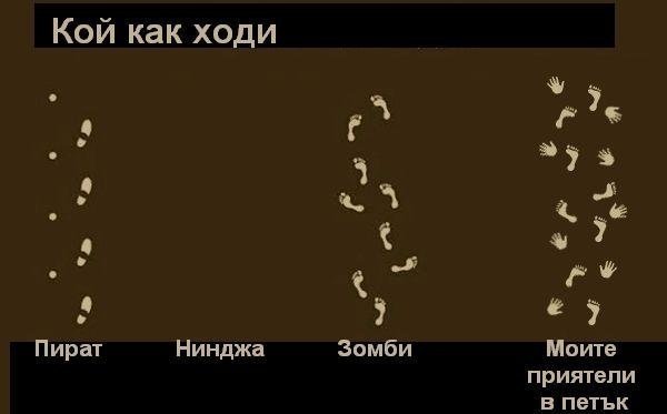 1268338014817957.jpg