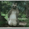1270566686901851.gif