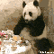 1270911183516853.gif