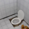 1271242552429358.png