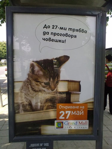 1274376862223590.jpg