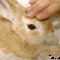 1277763143796681.gif