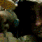 1277915250501838.gif