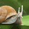 1280173057722877.gif