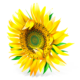 1280926663921610.png