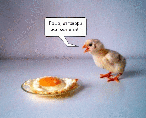 1282129009614961.gif