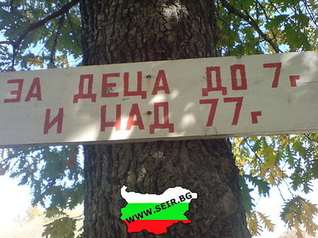 1290107785606126.jpg