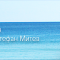 1290780924643499.png