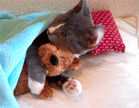 1291752967146715.gif