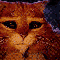 1292018101202268.gif