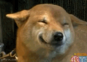 1293839408183131.gif