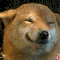 1293839408183131.gif