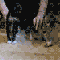 1295278657620080.gif