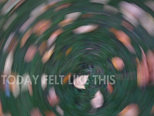 1296042113922119.jpg