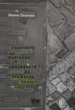 1296207740519449.jpg