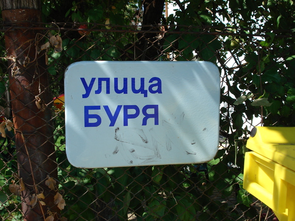 1296258200723020.jpg