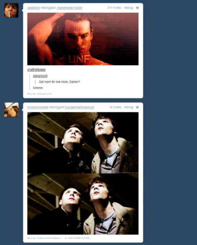 tumblr_lg3x6laAYb1qexqlvo1_500.png