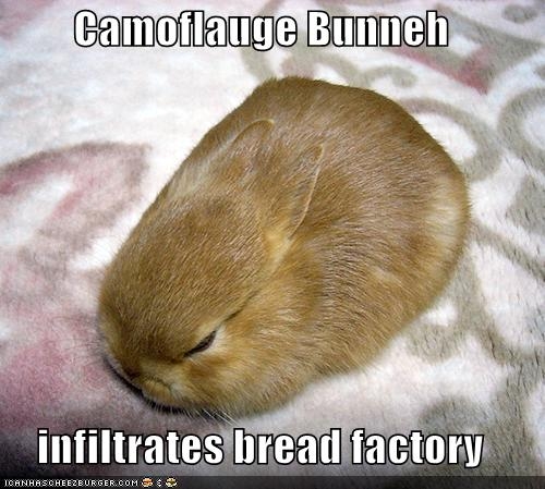 camo-bunny.jpg