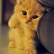 tumblr_lg2wucEEbl1qes6x1o1_500.jpg