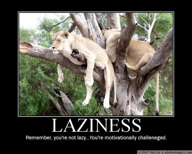 normal_laziness.jpg